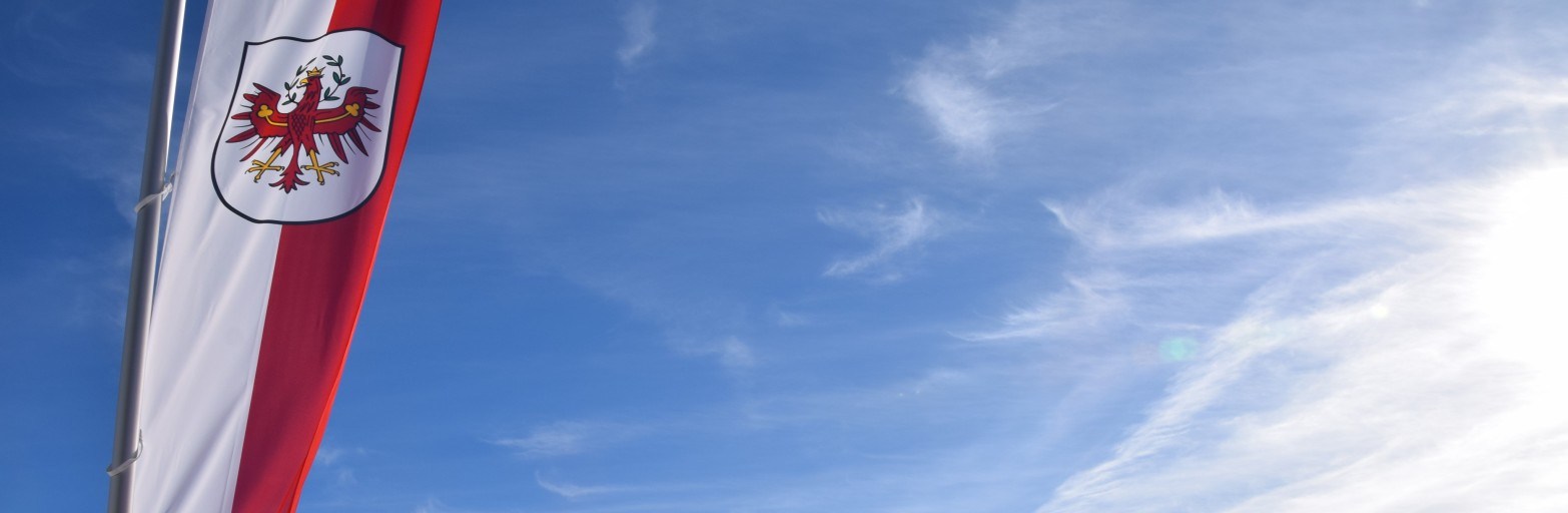 Präsentationsansicht der Firma Riccabona eSolutions e.U.