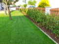 2. Bild / Gartenlöwe Gartenbau + Gartenpflege