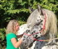 2. Bild / Angela Lienbacher  Energetik und Mentoring mit Pferdestärke