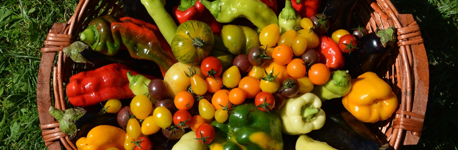 Präsentationsansicht der Firma Der Biobote – Maria Seger – Zustelldienst für biologische Produkte