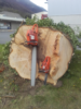 3. Bild / Kammerhuber Holzschlägerung