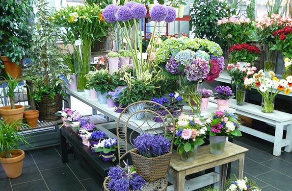 PENZO Flora Blumenhandel GmbH, Vösendorf, Niederösterreich FirmenABC.at