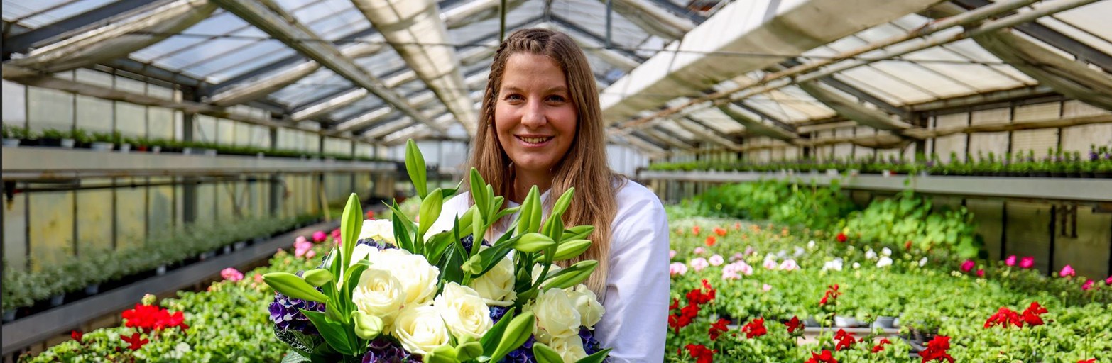 Präsentationsansicht der Firma Gartengestaltung & Floristik Blumen Tauber GmbH