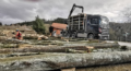 3. Bild / Forstservice Kram e.U.
