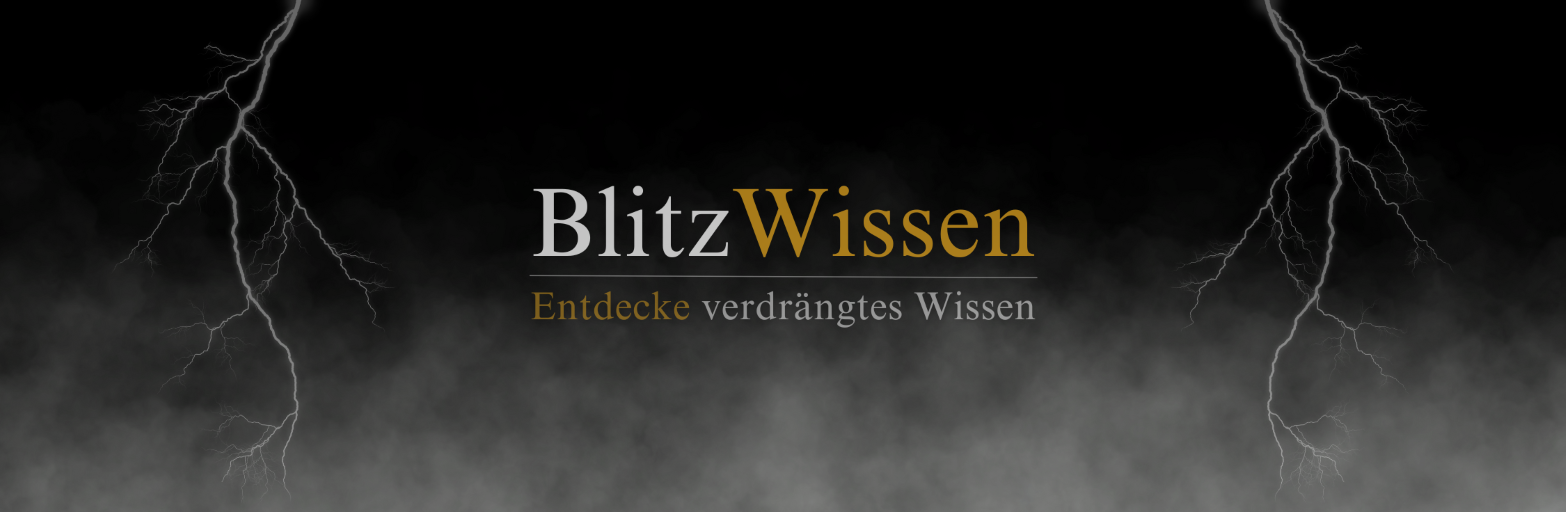Präsentationsansicht der Firma Blitzwissen FlexCo