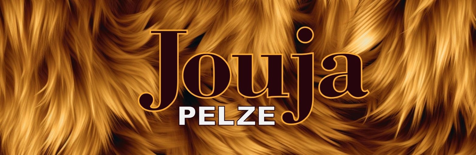 Präsentationsansicht der Firma Johann Jouja