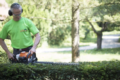 1. Bild / Ing. KOLLARITS GmbH - DER ARBORIST