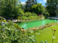 1. Bild / Gartenlöwe Gartenbau + Gartenpflege