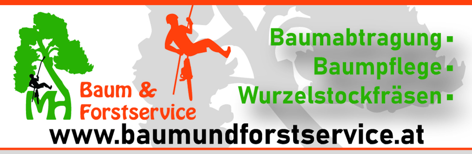 Präsentationsansicht der Firma Michael Högler (MH Baum- & Forstservice)