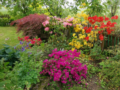2. Bild / Garten Matula OG