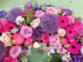 3. Bild / Blumen Wurm