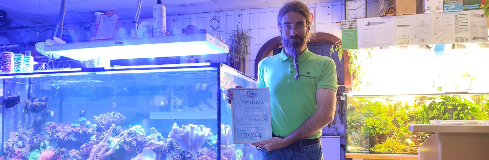 Präsentationsansicht der Firma Aquarium-Service
Dominik Gintenreiter