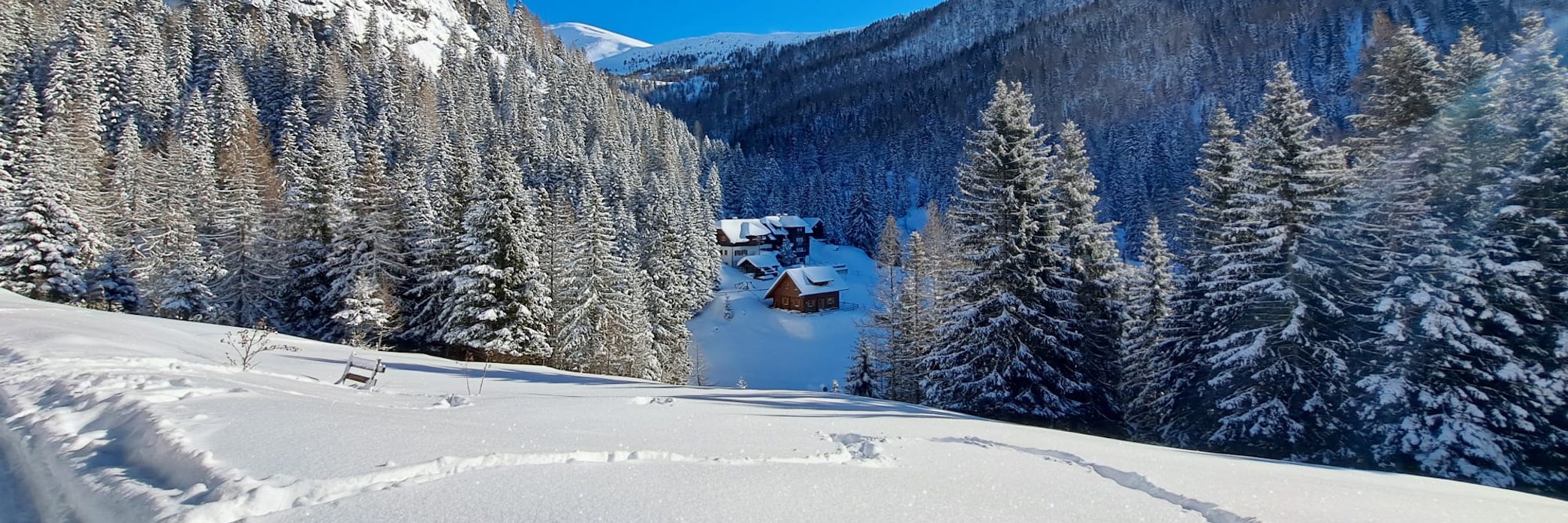 Präsentationsansicht der Firma Erlacherhaus