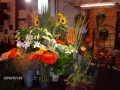2. Bild / Blumenmehr  Glantschnig