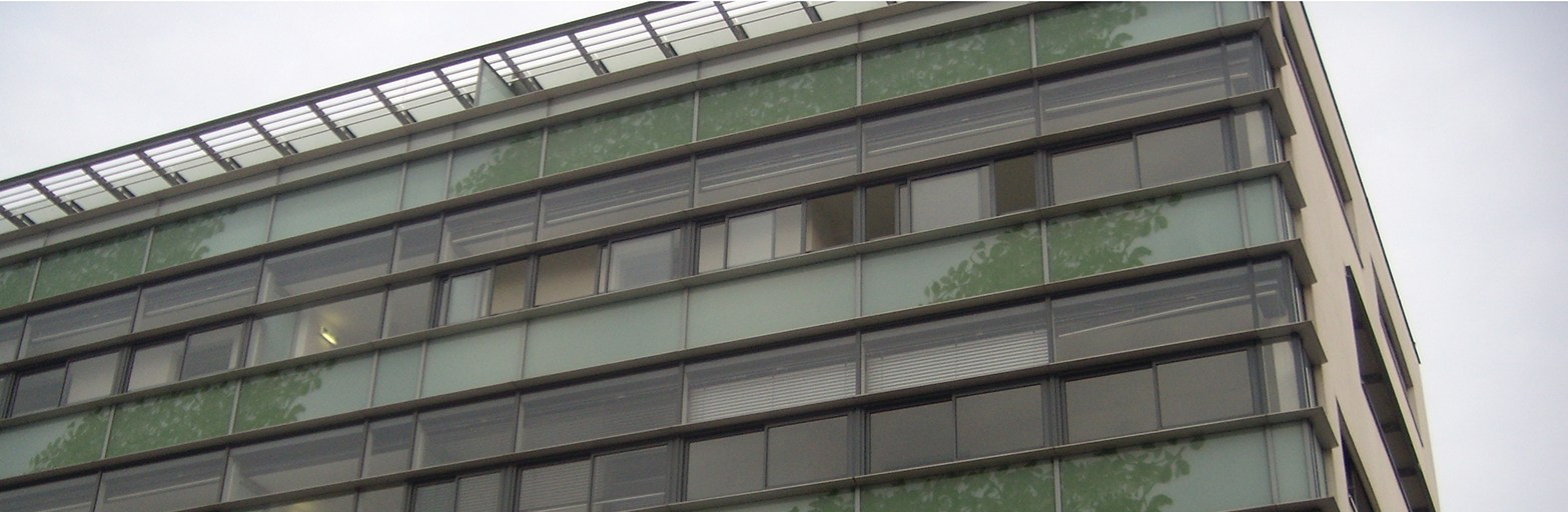 Präsentationsansicht der Firma HS & Partner BAU GmbH