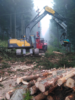 1. Bild / Holzschlägerung, Bringung u. Erdbau Peter Katzensteiner