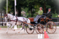 3. Bild / Sattlermeister Maislinger