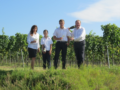 2. Bild / Weingut WIMMER Wagramkeller