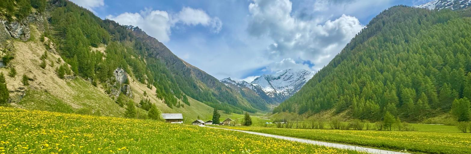 Präsentationsansicht der Firma Alpengasthof Kasern