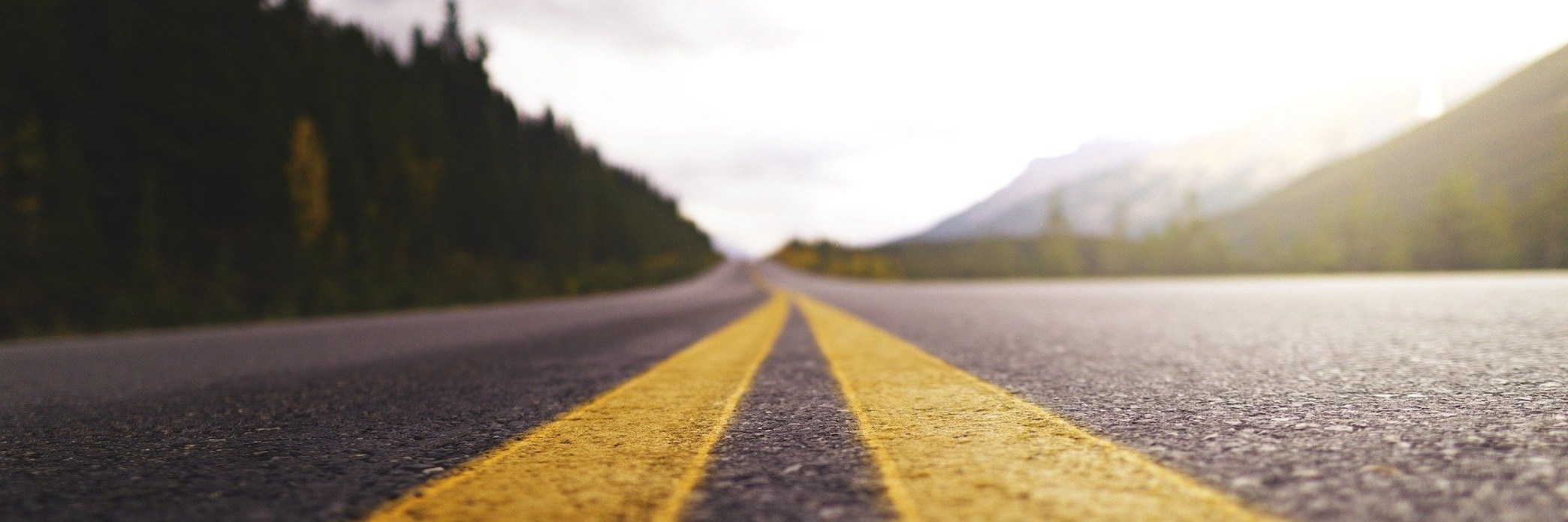 Präsentationsansicht der Firma Busreisen Krainz