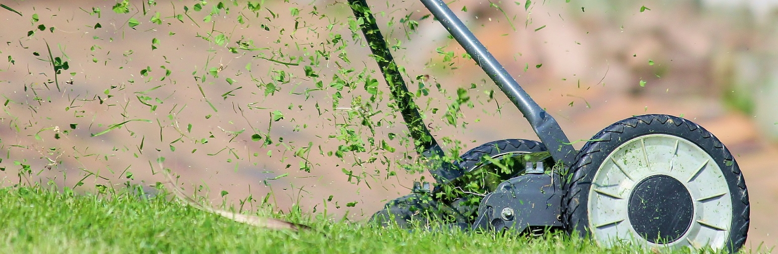 Präsentationsansicht der Firma Der rasende Allrounder Markus Jamnig