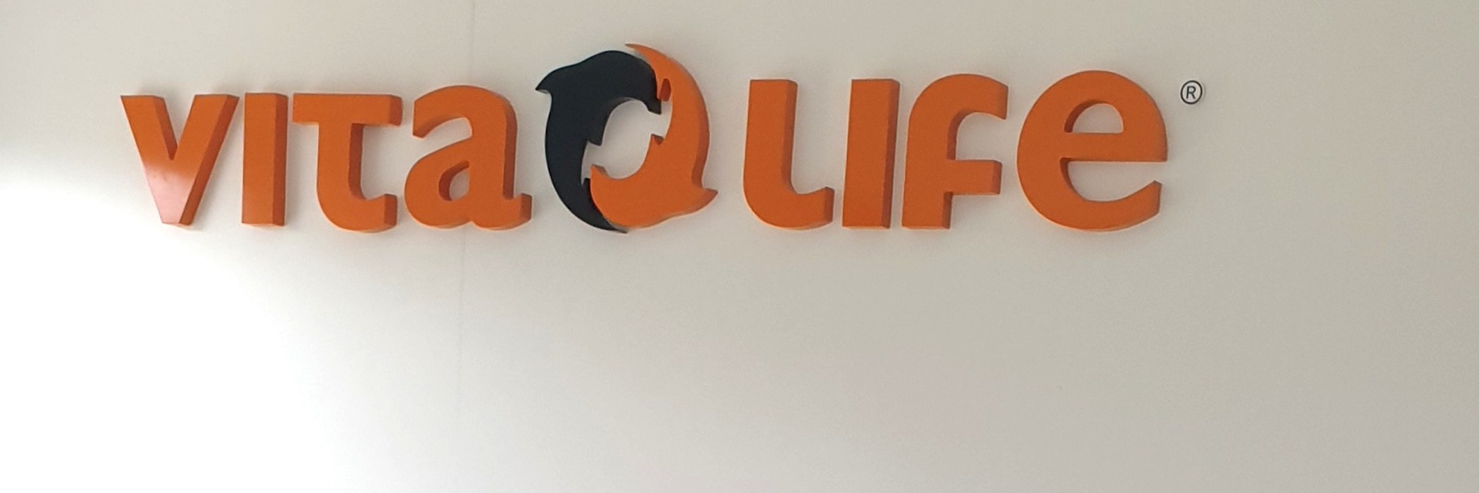 Präsentationsansicht der Firma VITA LIFE HandelsgmbH