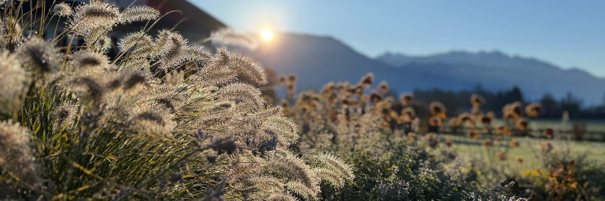 Präsentationsansicht der Firma Jimmy‘s Gartendesign