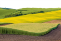 3. Bild / GreenPork GmbH