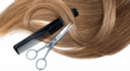 1. Bild / Fräulein Hairnach