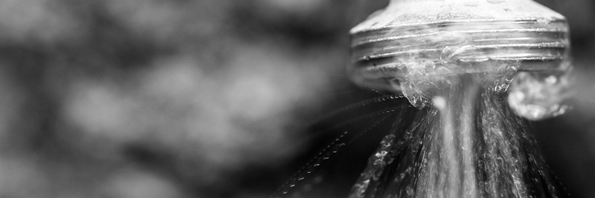 Präsentationsansicht der Firma LECKORTUNG
Manuel Heiser